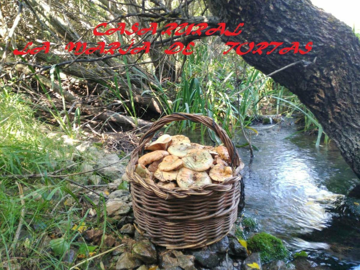 La Maria De Tortas Guest House Paterna del Madera Екстериор снимка